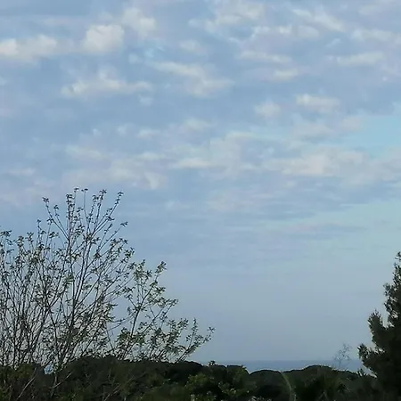 Lägenhet Les Gorguettes, Avec Terrasse Vue Mer, A 10 Min A Pieds De La Sanary-sur-Mer