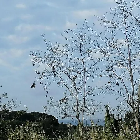 Lägenhet Les Gorguettes, Avec Terrasse Vue Mer, A 10 Min A Pieds De La